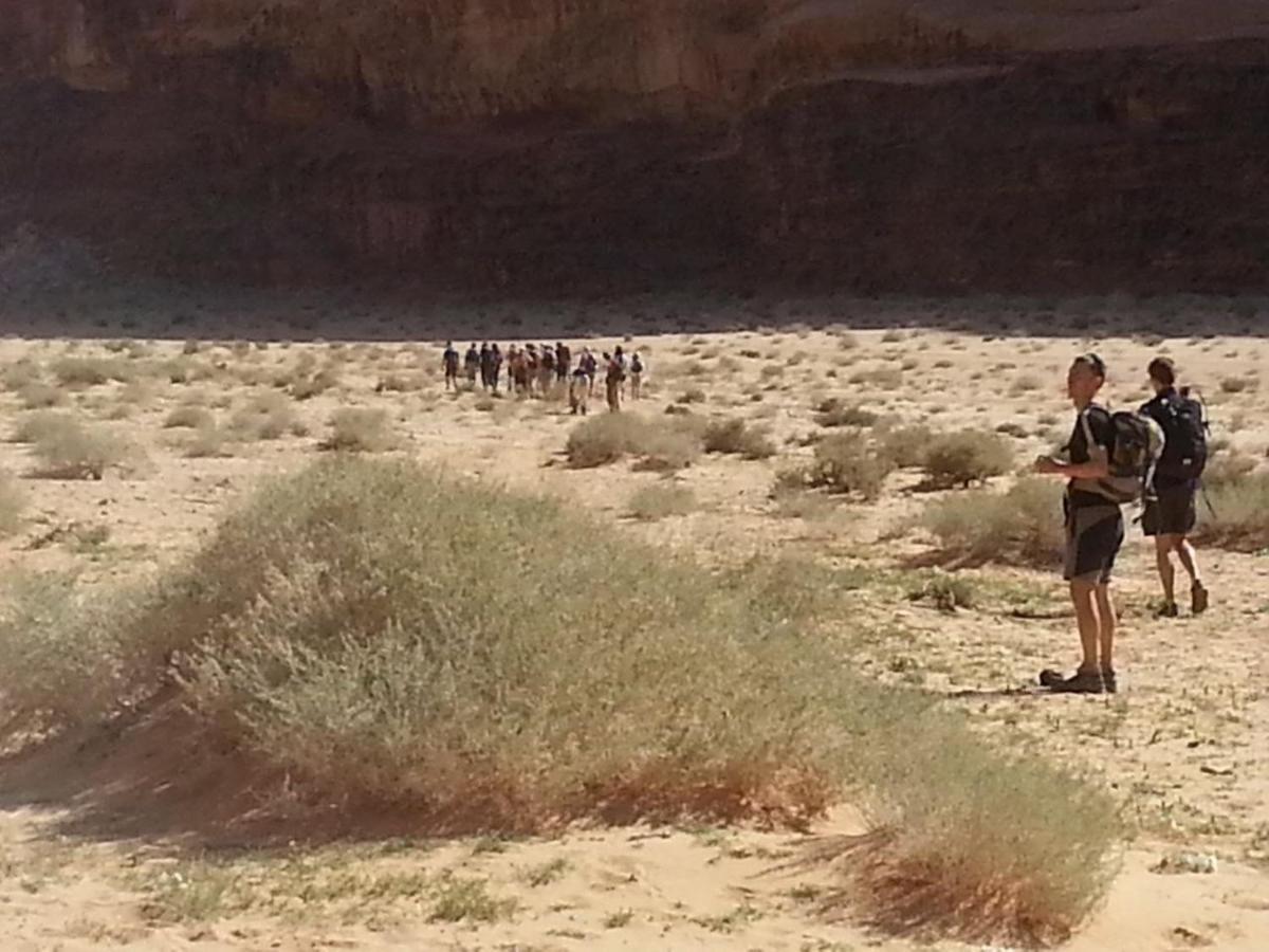 Hotel Zawaideh Desert Camp Wadi Rum Esterno foto